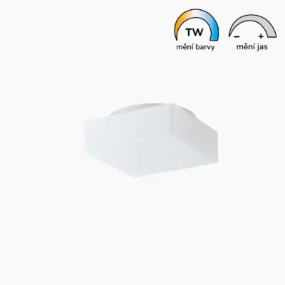 Plnospektrální LED svítidlo LORA 2 skleněné 260 mm 15W